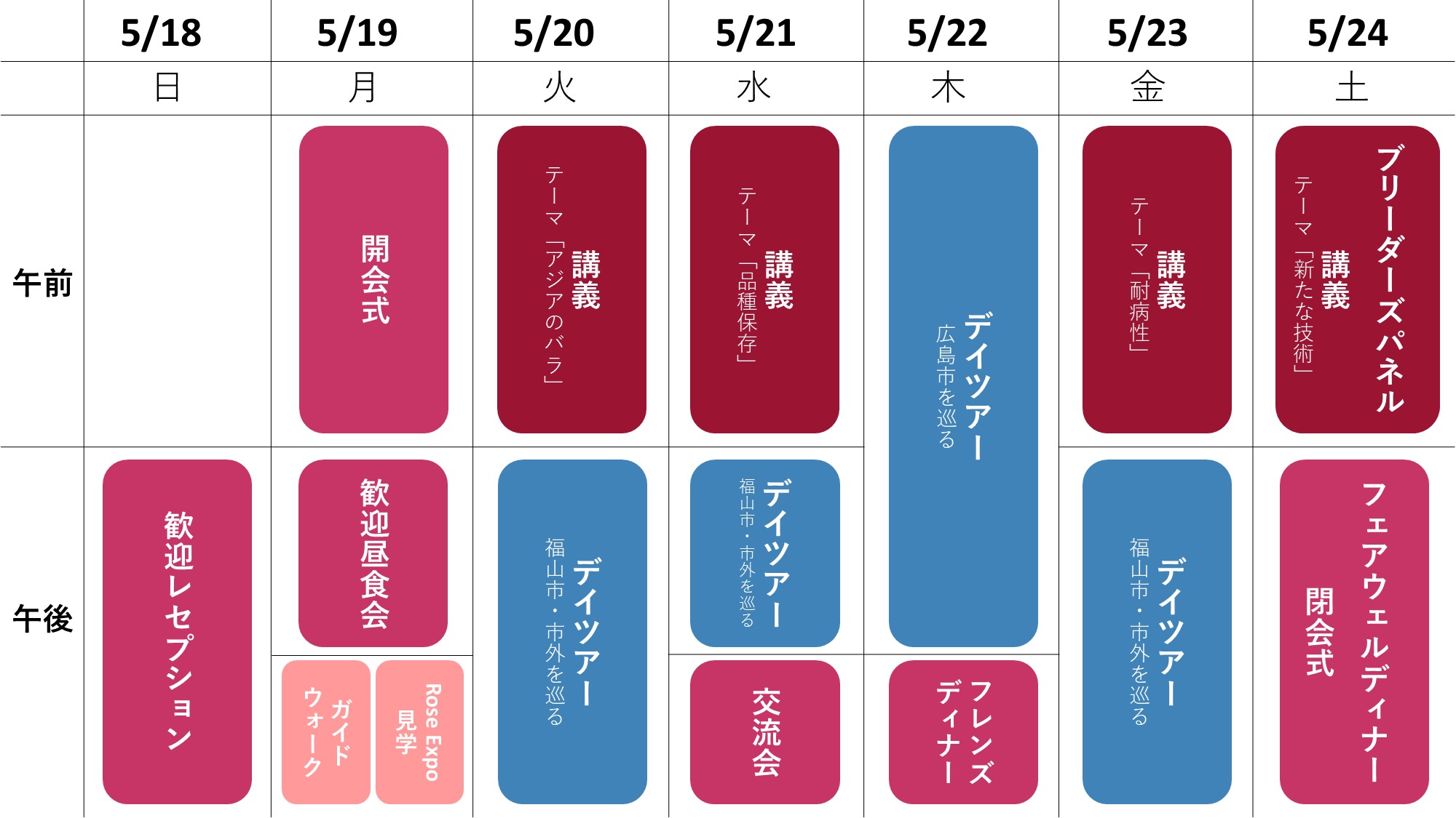 大会スケジュール概要