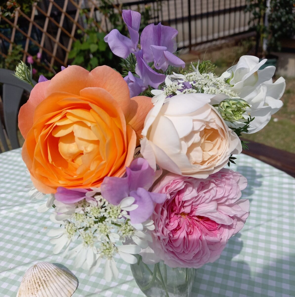 Izawa.roses