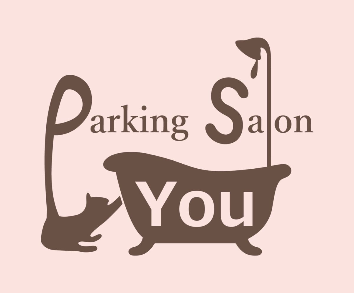 Parking Salon You