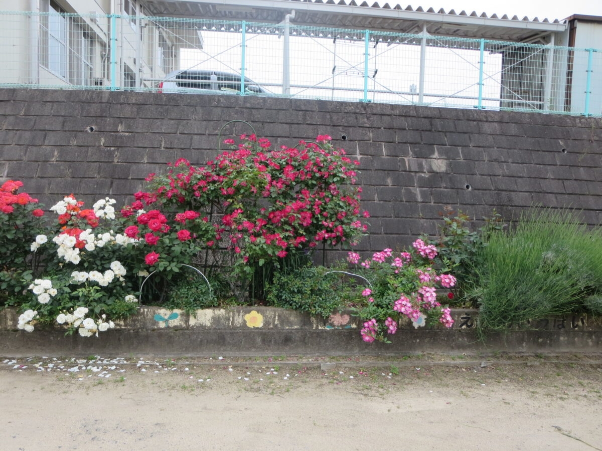 幕山まちづくり推進委員会