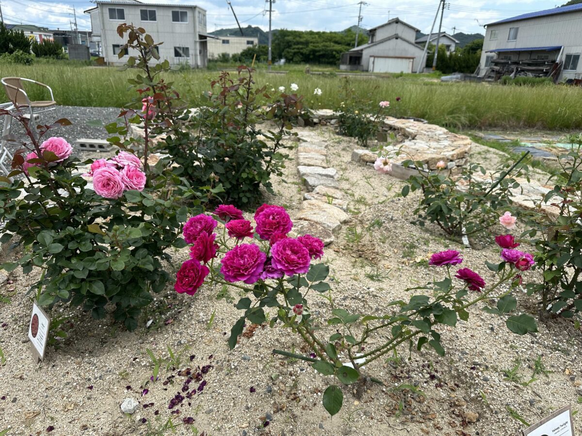 株式会社かこ川商店